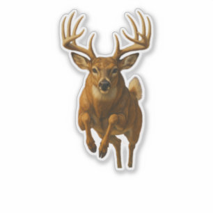 Autocollant découpé Whitetail