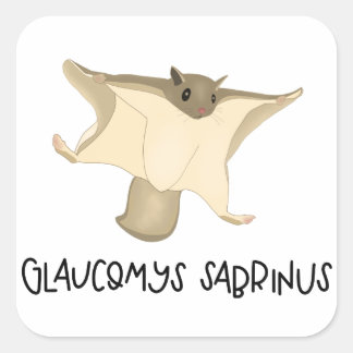 Autocollant d'écureuil volant