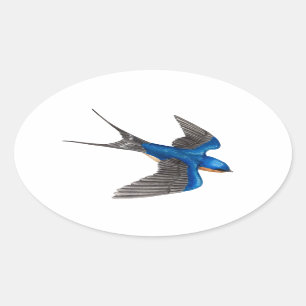 Autocollant d'hirondelle de grange volant