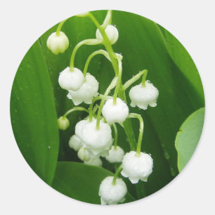 Autocollant du muguet de fleurs blanches