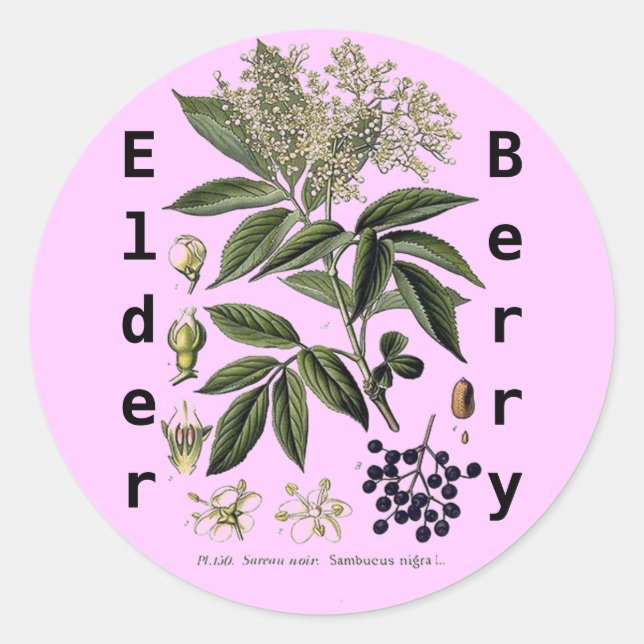 Autocollant Elderberry Sambucus (Devant)