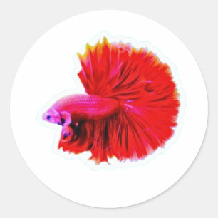 Autocollant Elegant Red Rose Tail Betta - Luxe Flo