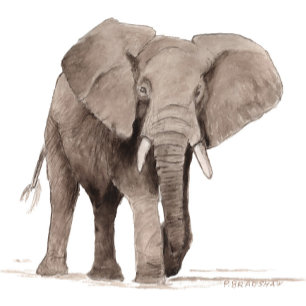 Autocollant Éléphant