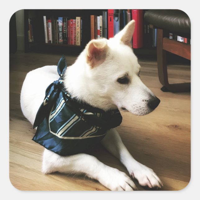 Autocollant Eno de bibliothèque (Devant)