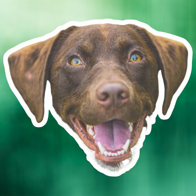 Autocollant facial chien personnalisé, cadeaux Amo (Créateur téléchargé)