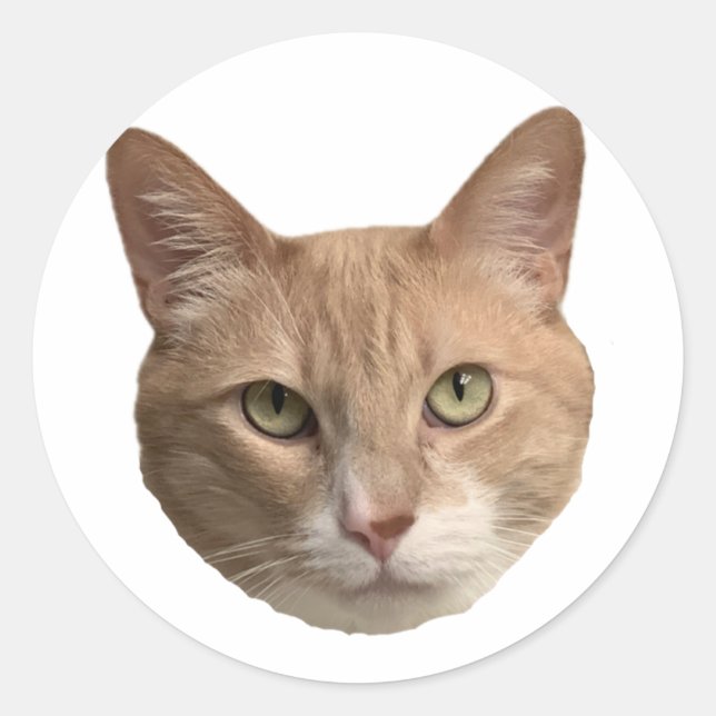 Autocollant Floyd ! (Devant)