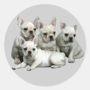 Autocollant français Bulldog