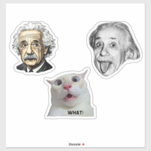 Autocollant génial Einstein et chat hilarant 