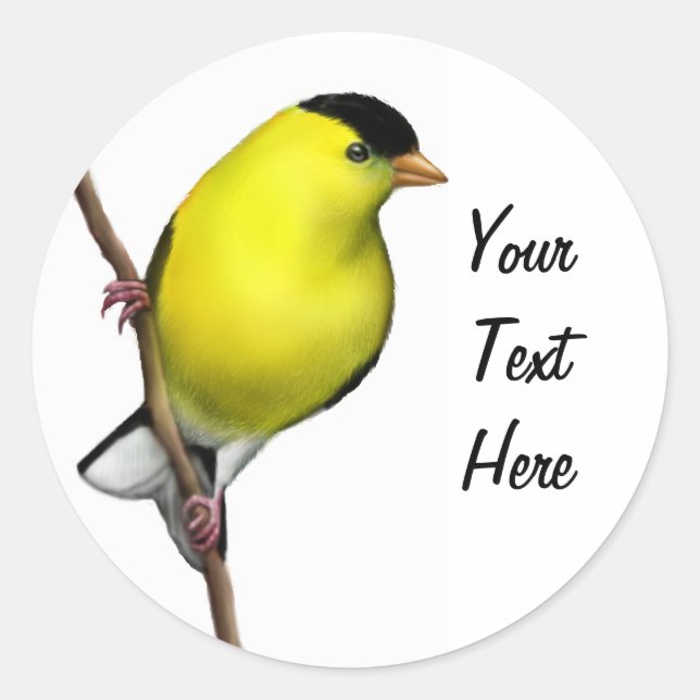 Autocollant Goldfinch américain masculin personnal (Devant)
