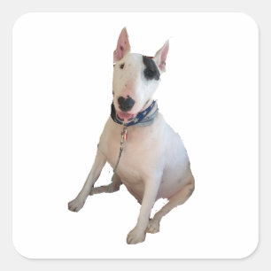 Autocollant Happy Rex