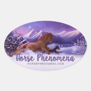 Autocollant hivernal Phénomène