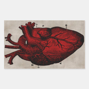 Autocollant humain de coeur