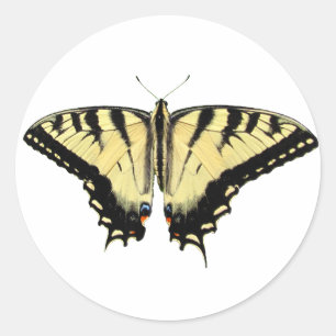 Autocollant jaune de ~ de machaon