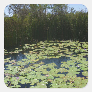 Autocollant Lily Pads