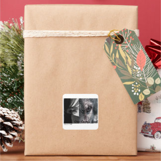 Autocollant Loup Mignon – Cadeau pour amateur de l
