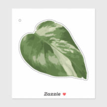 Autocollant Monstera panaché – Feuille claire coup