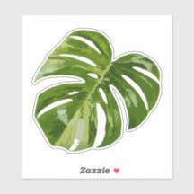 Autocollant Monstera panaché – Feuille claire coup