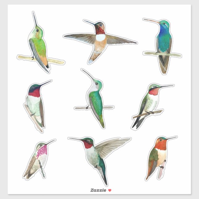 Autocollant nord-américain pour colibris (Feuille)
