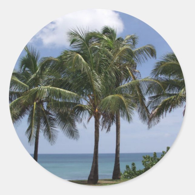 Autocollant Palm Trees (Devant)