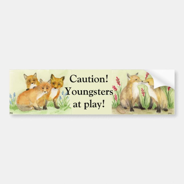 Autocollant pare-chocs Fox Kits (Devant)