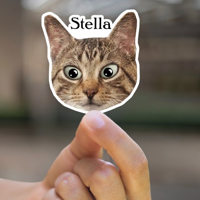 Autocollant personnalisé pour animaux de compagnie (Créateur téléchargé)