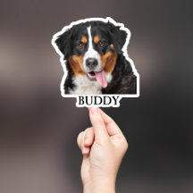 Autocollant personnalisé pour animaux de compagnie