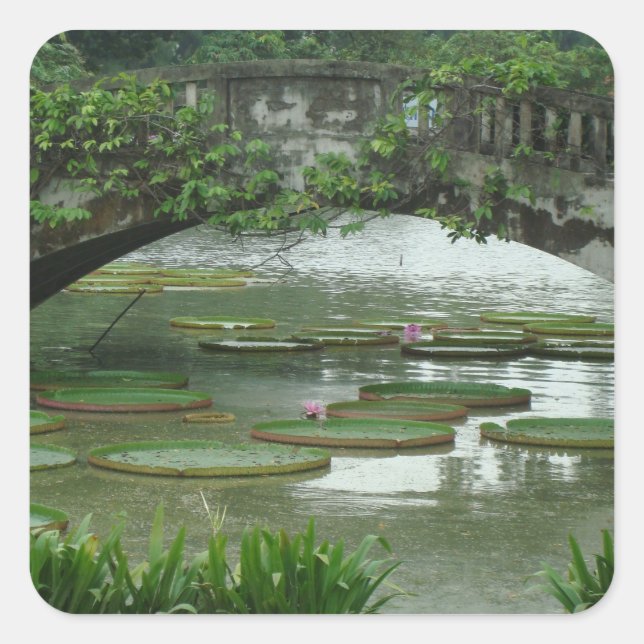 Autocollant photo Lily Pad (Devant)