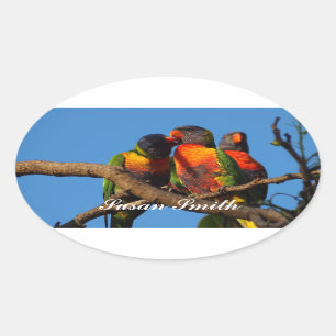 Autocollant photo ovale avec nom - Rainbow Lorikee