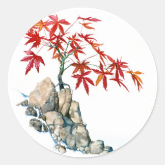 Autocollant PMACarlson Red Maple Bonsai