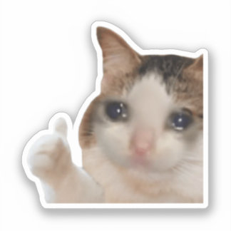 Autocollant Pouce en l'air Ok Chat Meme