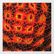 Autocollant pour fenêtre