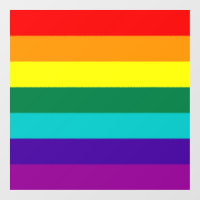 7 bandes Rainbow Pride