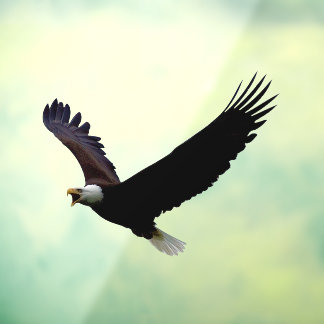 Autocollant Pour Fenêtre Aigle volant coupé