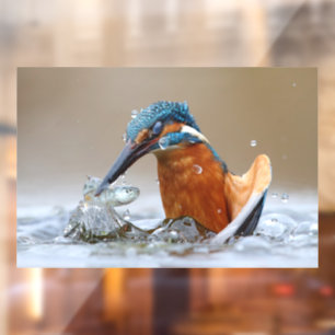Autocollant Pour Fenêtre Alcedo Atthis Kingfisher eau de chasse Luca Casale