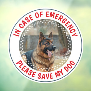 Autocollant Pour Fenêtre Alerte de sécurité pour animaux Photo de chien per