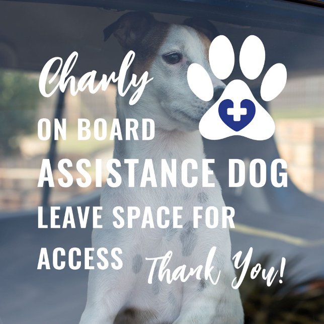 Autocollant Pour Fenêtre Assistance Chien à bord Animaux de compagnie Paw B ("Assistance Dog on Board" car window decal for service dog owners with modern blue medical logo.)