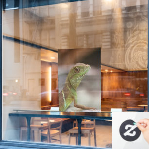 Autocollant Pour Fenêtre Baiser d'Iguana