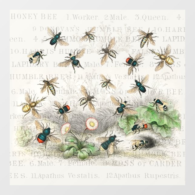Autocollant Pour Fenêtre Bee Honey Travailleur Queen Bees Antique (Feuille)