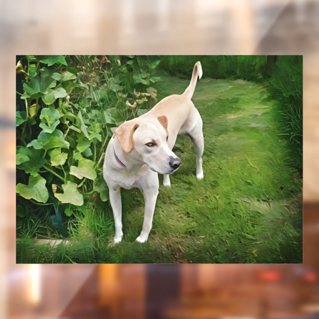 Autocollant Pour Fenêtre Belle Fenêtre de Chien Léopard Catahoula Cling (Feuille 2)