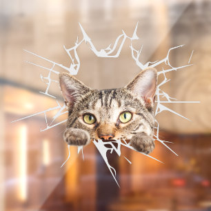Autocollant Pour Fenêtre Chat de voiture drôle mignonne Chat de verre cassé