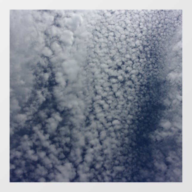 AUTOCOLLANT POUR FENÊTRE CLAIR DE FENÊTRE DECAL (Feuille)