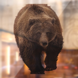 AUTOCOLLANT POUR FENÊTRE CLAIR DE FENÊTRE D'OURS GRIZZLY