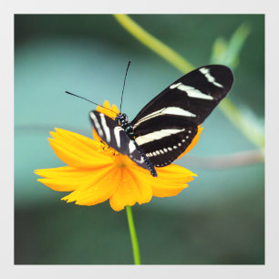 Autocollant Pour Fenêtre Costa Rica - Zebra Longwing Butterfly