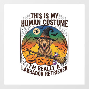 Autocollant Pour Fenêtre Costume Humain Labrador Retriever Sorcière d'Hallo