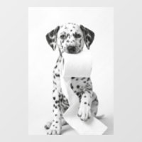 Dalmatien drôle tenant du papier toilette Minimal