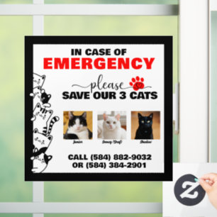 Autocollant Pour Fenêtre En Coque d'urgence Économisez 3 chats avec photo p