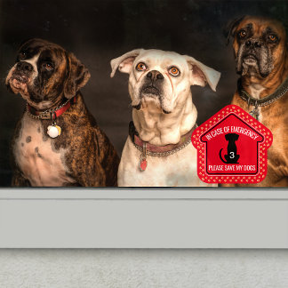 Autocollant Pour Fenêtre Enregistrer mon chien Alerte de sécurité Premier r