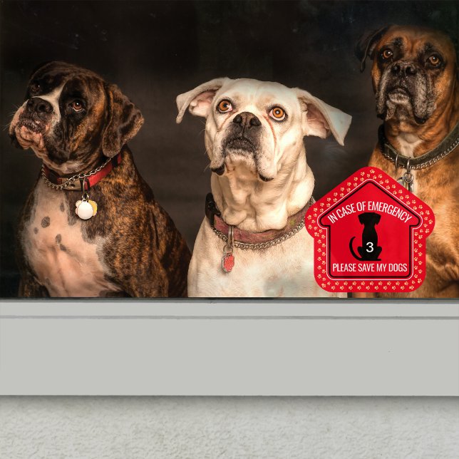 Autocollant Pour Fenêtre Enregistrer mon chien Alerte de sécurité Premier r (Créateur téléchargé)