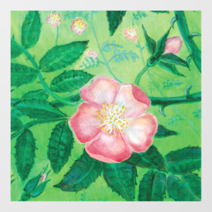 Autocollant Pour Fenêtre Fleur de Rosa Canina Rose sauvage