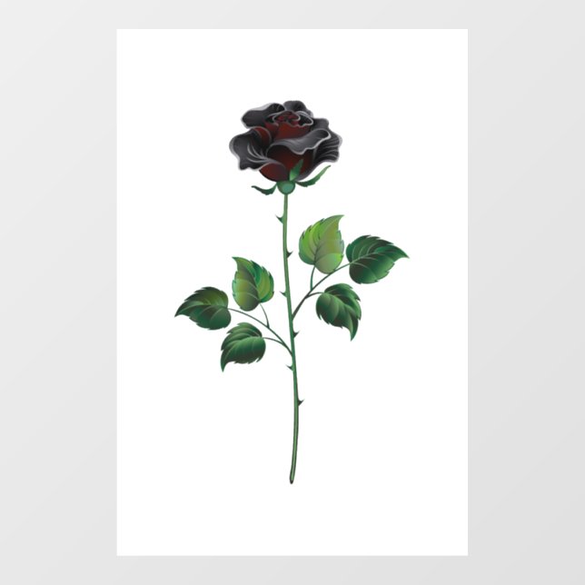 Autocollant Pour Fenêtre Fleur de rose noire (Feuille)